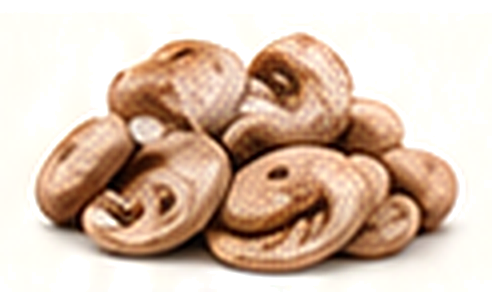Dried functional mushrooms