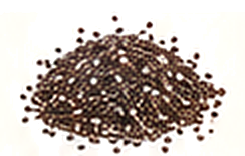 Omega-3 rich seeds